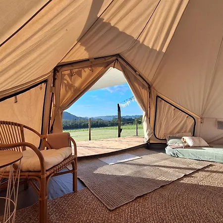 Le Bivouac De La Plante 1 *