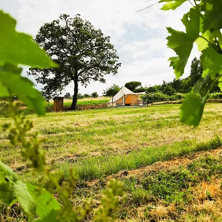 Le Bivouac De La Plante 1 * Saint-Aubin-de-Branne